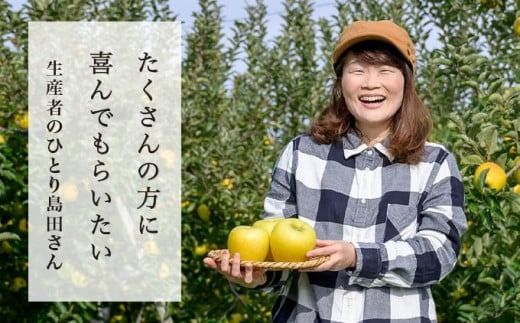 シナノゴールド 秀以上 約3kg 6～12玉 ［おぶせファーマーズ］ 果物 フルーツ りんご 林檎 リンゴ 長野県産 信州産 令和7年産 【2025年10月中旬〜2026年1月上旬発送】 ［FH-83］