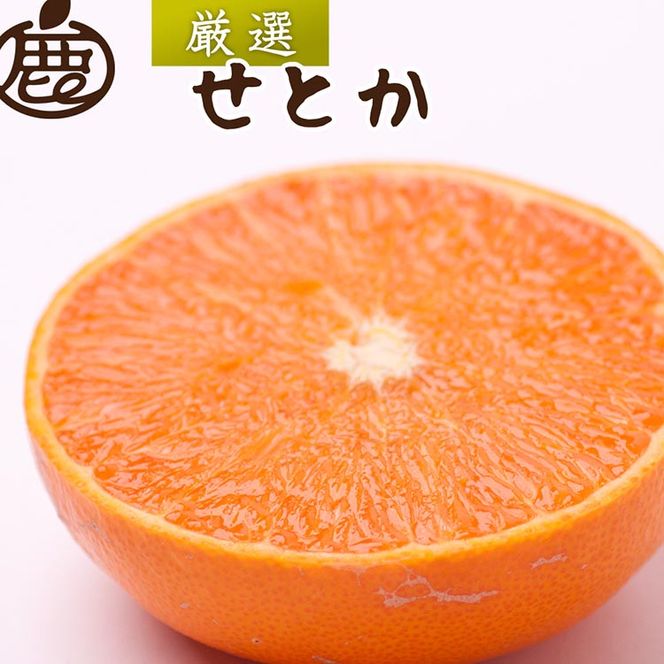 ＜2月より発送＞厳選 せとか5kg+250g（傷み補償分）◇｜柑橘・春みかんの王様【光センサー選果・食べ頃出荷】