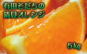 有田育ちの完熟清見オレンジ(ご家庭用)　5kg+200g(補償分)【2027年2月下旬～5月上旬頃に順次発送予定】【ard017C】