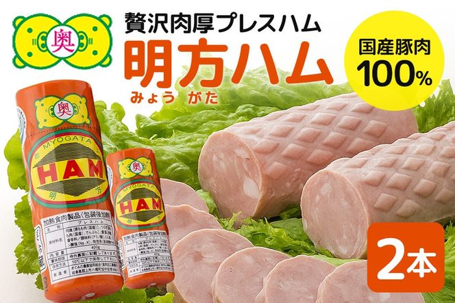 y򕌌SÒzn 2{ Yi Hi _ ؓ  ܂ ٓ `@ 500