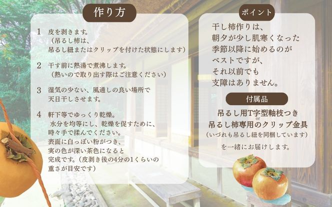 甘さが違う！とっても甘くなる生渋柿（平たねなし柿）吊るし柿用  T字枝or吊るしクリップ付約14.5～15kg　約60～90個＜2026年10月中旬～11月上旬ごろ順次発送＞Ted【art015B】