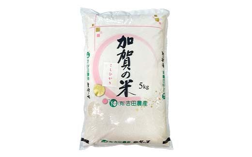 令和6年度 新米 こしひかり 精米 石川県加賀市産 5kg お米 米 国産米 ギフト 贈り物 グルメ 食品 国産 復興 震災 コロナ 能登半島地震復興支援 北陸新幹線 F6P-2320