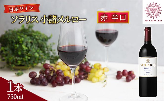 母の日 ワイン 信州ワイン 赤 ソラリス 小諸 メルロー 750ml×1本 ワイン 赤ワイン マンズワイン 酒 お酒 洋酒 果実酒 ぶどう酒 長野 長野県小諸市