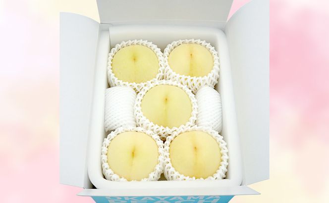 もも 2026年 先行予約 【ご家庭用】 岡山白桃 エース (晩生) 4～5玉 約1.2kg  (8月中旬～8月下旬出荷予定)