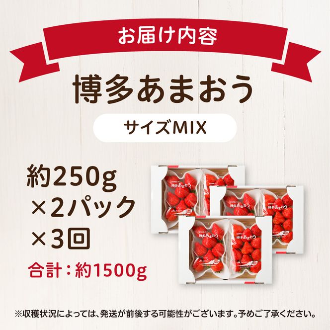 【定期便／3ヶ月連続お届け】博多あまおう 約250g×2パック 計3回 総量1.5kg 3カ月定期便【ほたるの里】_HB0075