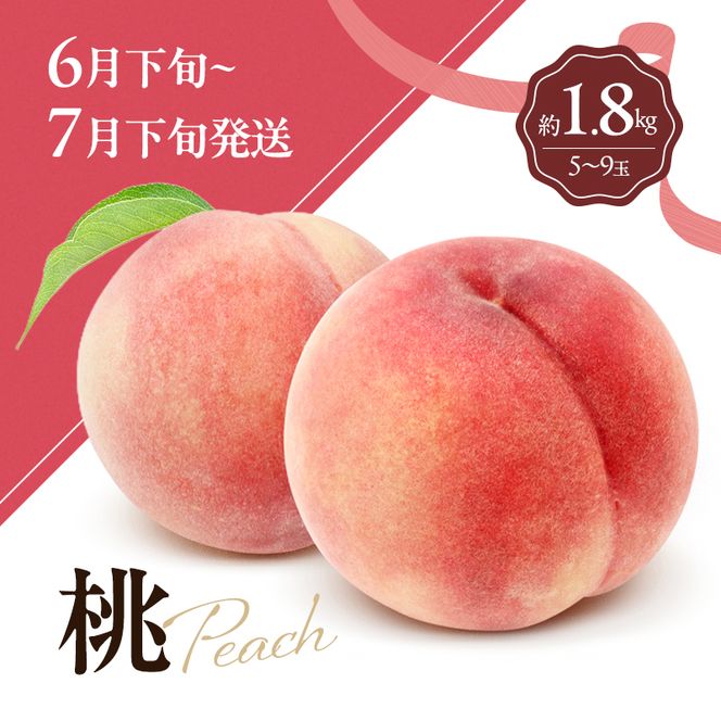 讃岐のフルーツ3回定期便【C】【さぬきひめ苺】【桃】【さぬきキウイっこ】