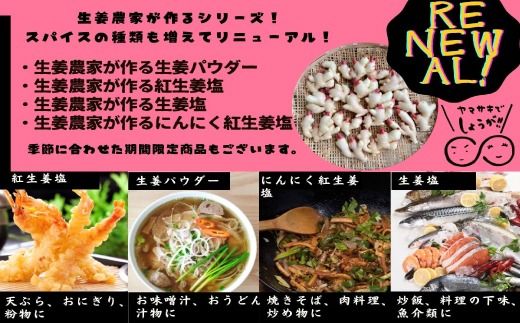 【 山﨑生姜農園 】 生姜農家 が作った 生姜スパイス 4本 セット （ 生姜塩・紅生姜塩・にんにく紅生姜塩・生姜パウダー） 粉末 パウダー 調味料 スパイス 塩 しお 生姜 しょうが ショウガ ジンジャー にんにく ニンニク 高知県 高知 四万十市 四万十 しまんと 25-328