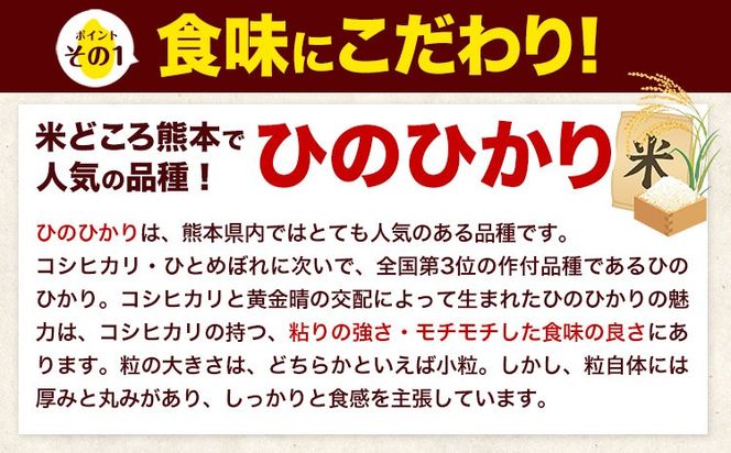 【6ヶ月定期便】選べる 精米方法 白米 無洗米  ひのひかり 5kg 10kg  20kg《お申込み翌月から出荷》｜人気米 熊本県産米 お米 生活応援米---hn7tei_69000_5kg_mo6_mna_h---