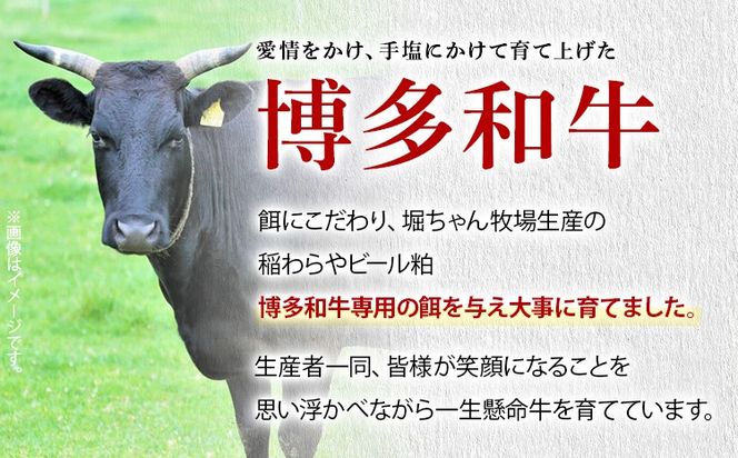 【A4～A5】博多和牛サーロインステーキ 200g 200g×2枚 牛肉 国産 国産牛 和牛 博多和牛 肉 サーロイン ステーキ 柔らか 霜降り 福岡県 福岡 九州 グルメ