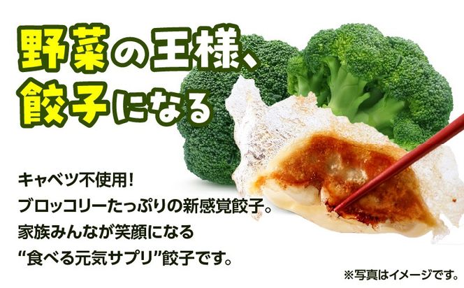 ＜容量選べる！＞げんきモリモリ生餃子　K027-010_SKU