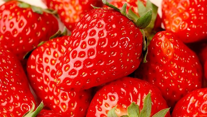 【選べる枚数】いちご狩り体験 チケット おとな1枚＋小学生1枚 / おとな2枚＋小学生2枚 / おとな2枚  いちご狩り 体験 イチゴ 苺 フルーツ 果物 食べ放題 [BP001ya-BP003ya]