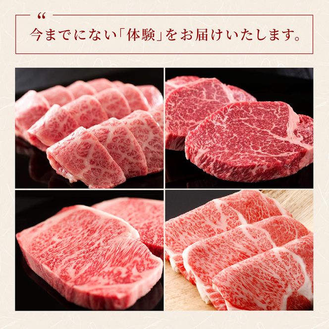 肉 【和牛セレブ】能登牛 一頭買い（一括配送）22個口 黒毛和牛 霜降り ギフト 石川県 能美市 172111_DB047