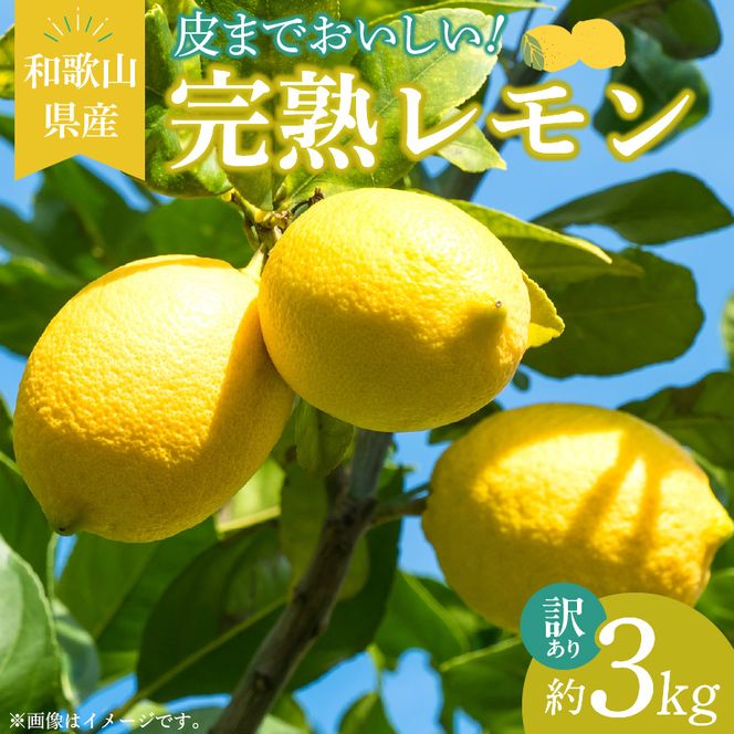 【2027年先行予約】【訳あり・ご家庭用】完熟 レモン 3kg 皮まで使用可能（栽培期間中農薬不使用）_EA6022n