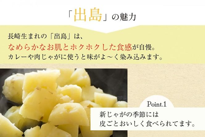 BH050 じゃがいも 訳あり ながさき黄金 出島 約5kg [ 野菜 訳アリ 芋 ジャガイモ 5キロ ほくほく 先行予約 常備野菜 国産 贅沢宝庫 長崎県 島原市 ]