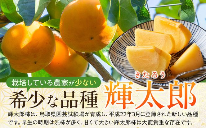 1258.【先行予約】輝太郎柿　赤秀3kg（7～10玉） 313726_BN026