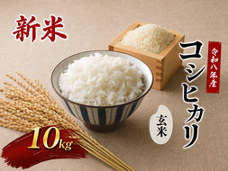 令和8年新米　 國方さんの「コシヒカリ」10kg（玄米）米 玄米 コシヒカリ