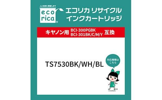 エコリカ【キヤノン用】BCI-301+300/5MP互換リサイクルインク（型番：ECI-C301-5P）　キヤノン リサイクル インク 互換インク カートリッジ インクカートリッジ カラー オフィス用品 プリンター インク 山梨県 富士川町