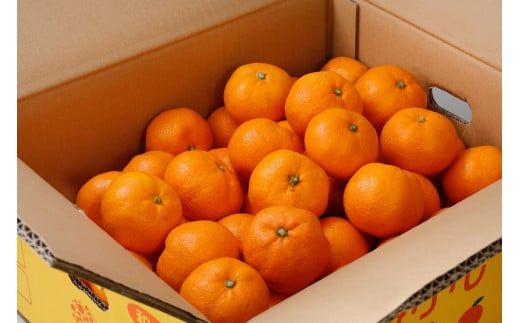 みかん 【2025年12月発送予約分】 ＼光センサー選別／農家直送 【家庭用】こだわりの有田みかん　約5kg＋250g(傷み補償分) ミカン 有田みかん 温州みかん 柑橘 有田 和歌山【nuk160-12B】