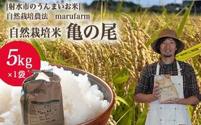 【射水の美味しいお米】【自然栽培農法】自然栽培農家 marufarm 自然栽培米「亀の尾」5kg ※離島への配送不可