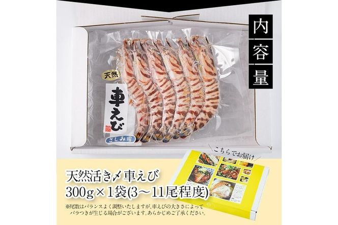  天然 活き〆車エビ 生食用 (計300g) エビ 海老 車海老 冷凍 刺身 さしみ 天ぷら 塩焼 バーベキュー 国産 大分県 大分県 佐伯市【DL18】【鶴見食賓館】