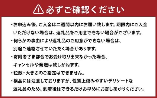 【訳あり】完熟あまおう 4パック 合計約1.1kg 【2027年1月上旬～3月上旬までに出荷予定】いちご 苺 イチゴ 果物 フルーツ