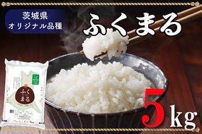 AL010　令和5年産米！際立つ粒の大きさ！ふくまる（5kg）