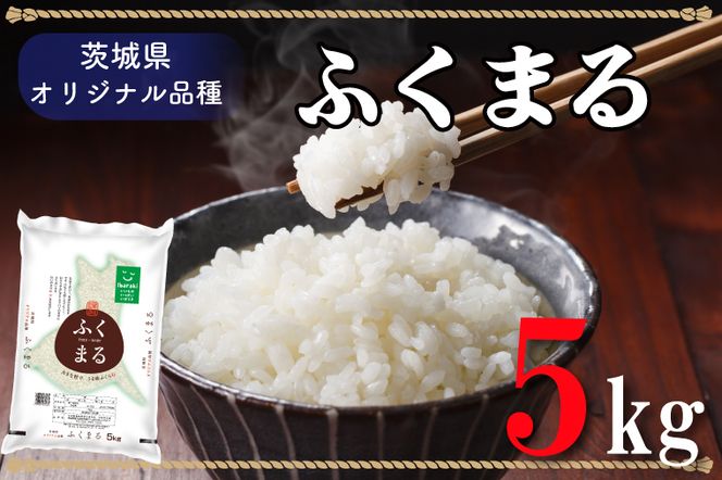 AL010　令和5年産米！際立つ粒の大きさ！ふくまる（5kg）