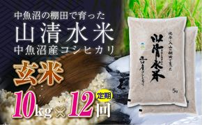 【定期便／全12回】玄米10kg　新潟県魚沼産コシヒカリ「山清水米」十日町市 米