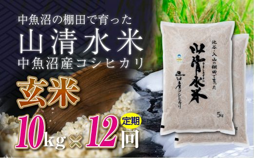 【定期便／全12回】玄米10kg　新潟県魚沼産コシヒカリ「山清水米」十日町市 米