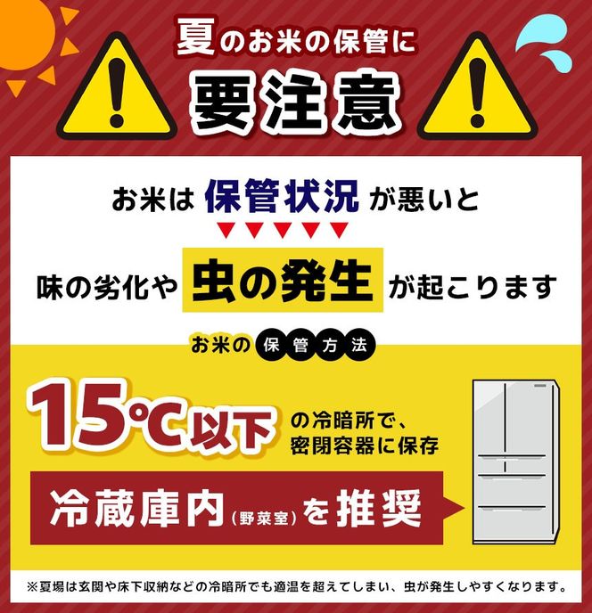 令和8年度 伊那市田原産米 コシヒカリ 5キロ ｜ 米 コシヒカリ 田原産 お米 伊那 伊那産 長野県【011-d1】