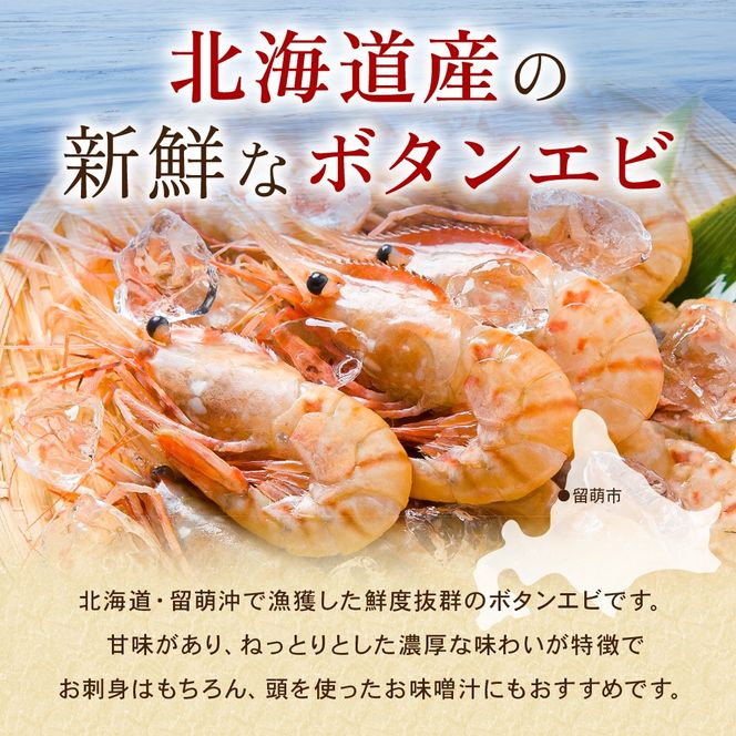 【年内配送　年内発送　北海道】 漁師採りたて ボタンエビ 500g 1箱　北海道留萌産 ボタンえび ぼたんえび ボタン海老 えび エビ 海老 お刺身 刺身 塩焼き 塩ゆで 天ぷら 海鮮 魚介 魚介類 北海道 留萌 留萌市 R006-013