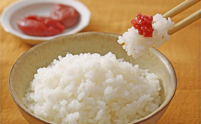 兵庫県加西市産　特A米相当コシヒカリ　5kg×6回