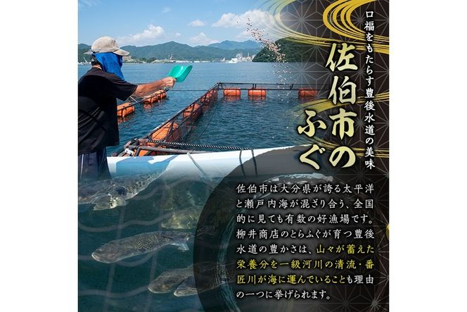 天然とらふぐ ちり鍋 唐揚げ用 (約400g) 数量限定 とらふぐ ふぐ フグ 鍋 ふぐちり鍋 唐揚げ 冷凍 天然 国産 大分県 佐伯市【AB215】【柳井商店】
