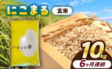 【6回定期便】にこまる　玄米　10kg　お米　ご飯　愛西市／株式会社戸倉トラクター[AECS071]