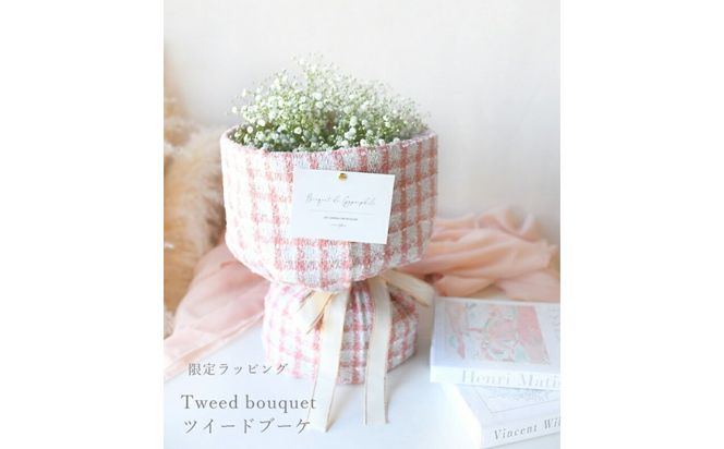 かすみそう「ツイードブーケ」 かすみ草 カスミソウ 花束(小さいサイズ) 花 誕生日 成人式 卒業祝い 初節句 ひな祭り バレンタイン お返し 結婚 ウエディング 送別 祝い プレゼント ギフト 結婚祝い お礼 花束 生花 ドライフラワーにも 送料無料 退職祝い お母さん 記念日 272230_BG112