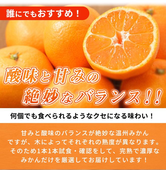 【2026年11月下旬より発送】紀州有田産 濃厚甘熟温州みかん 5kg_G7043