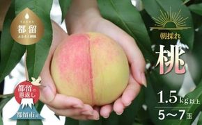 【2026年 先行予約】日本一の産地 山梨県産　朝採れ桃 約1.5kg (５～７玉）　FF008