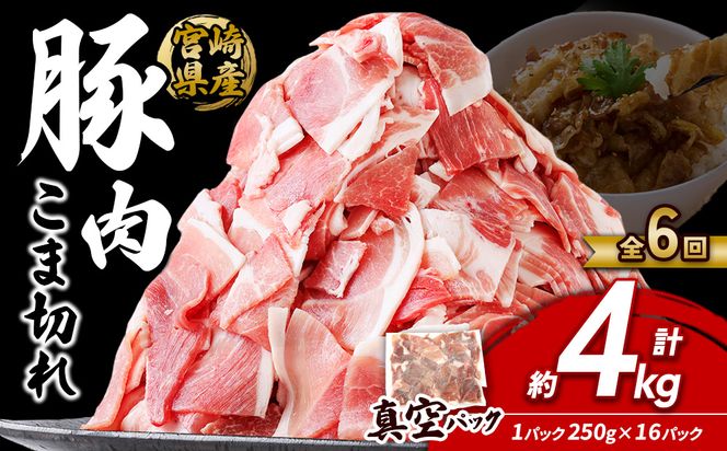 定期便 6回お届け 宮崎県産 いもこ豚 小間切れ 4kg (250g×16パック) 真空パック 小分け 豚肉 えびの市