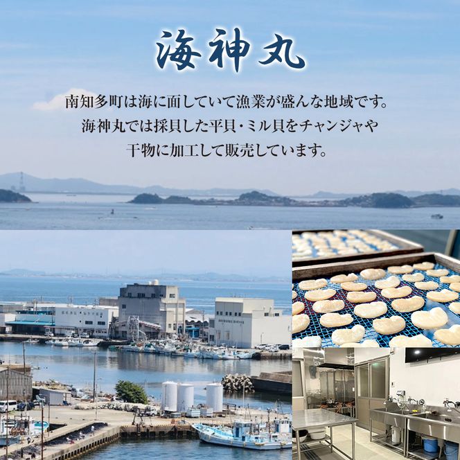 地だこボイル ５パック (100g×5) 冷凍 たこ 海鮮 海産物 たこ飯 たこ焼き アヒージョ たこ唐揚げ おつまみ お酒 ご飯 おかず 自家製チョジャン付き おすすめ 人気 愛知県 南知多町