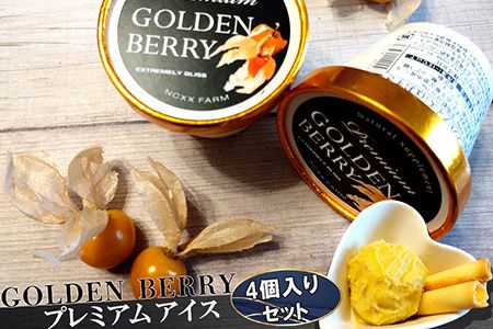 ネクスファームのゴールデンベリープレミアムアイス　4個入りセット 【1938】