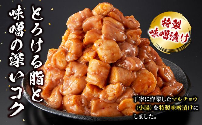 ＜訳アリ＞牛マルチョウ　特製味噌漬け　1.2kg(300g×4）【2026年8月発送】 141305_KZ19VC08