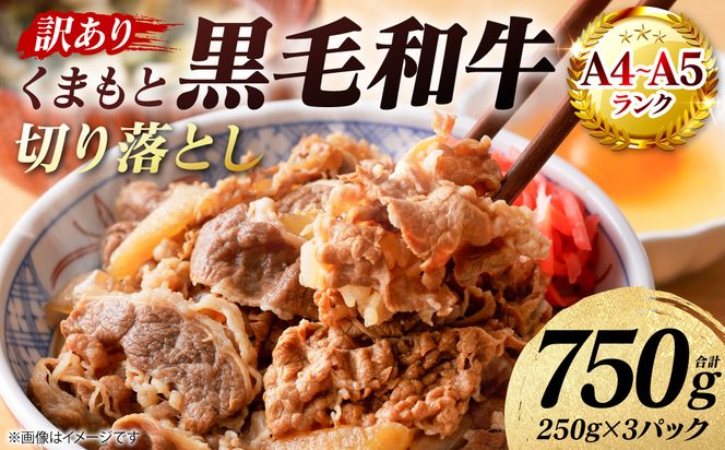 【訳あり】 【A4～A5ランク】 くまもと黒毛和牛 切り落とし 750g （250g×3パック） 和牛 牛肉 お肉 黒毛和牛 牛肩 バラ 冷凍 炒め物 すき焼き しゃぶしゃぶ おかず 熊本県 八代市