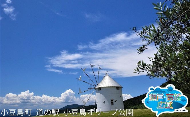 【 小豆島 】「瀬戸・たかまつネットワーク」貸切クルーザーで巡る香川県（直島・豊島方面）2日間 チケット 旅行券 観光 