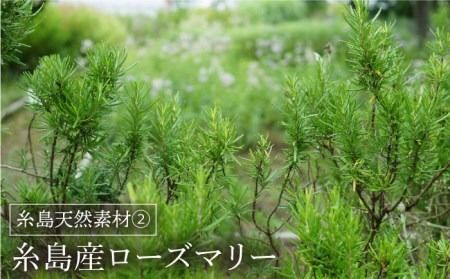 糸島 オール イン ワン ジェル いとうるる 2本 セット 《糸島》【フレンチコネクション】 [APC003] 1プッシュで洗顔後のケア5役に対応! 化粧水・乳液・美容液・クリーム・化粧下地