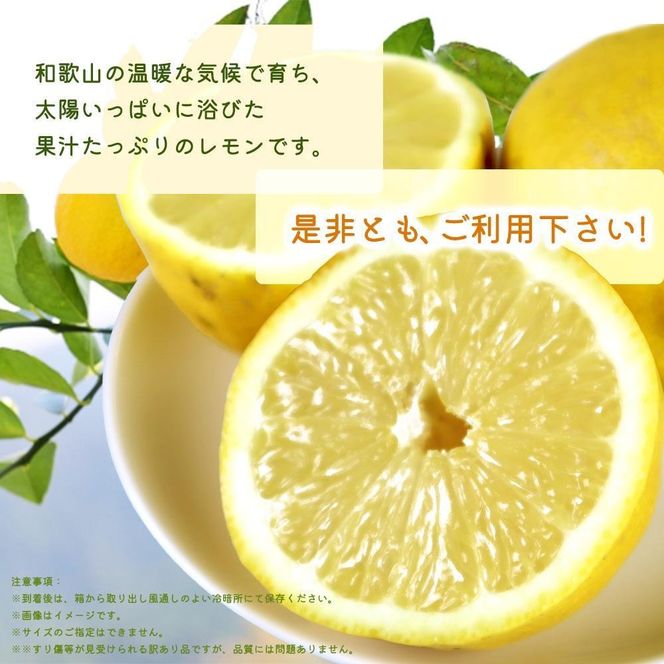 ［ご家庭用訳あり］ 紀州有田産レモン 2.5kg［2027年3月上旬以降発送］［先行予約］AN047