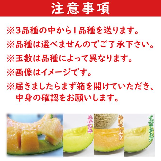 【2026年5月中旬より順次発送】★数量限定★お店で買えない逸品！亀田農園のまごころメロン5kg(4～6玉)｜果物 くだもの メロン ルピアレッド イバラキング あやひめ 数量限定 茨城県 行方市（B-1-1）