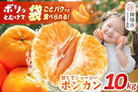 【2027年1月中旬より発送開始】ポンカン 10kg【みかん 柑橘 フルーツ デザート 貯蔵 高糖度】(H116147)