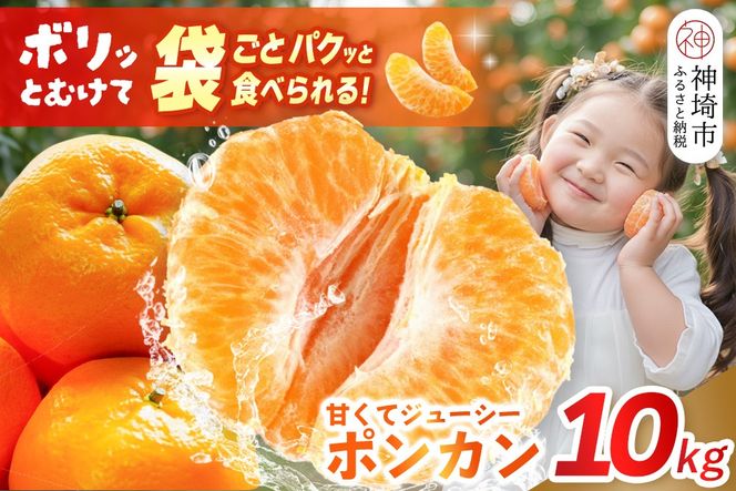 【2027年1月中旬より発送開始】ポンカン 10kg【みかん 柑橘 フルーツ デザート 貯蔵 高糖度】(H116147)