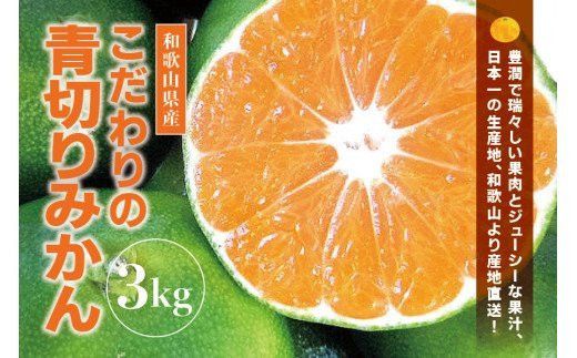 ＼光センサー選別／ 【先行予約】＼有機質肥料100%／ こだわりの青切りみかん 約4kg サイズ混合 【2026年9月～10月より順次発送予定】【nuk142C】