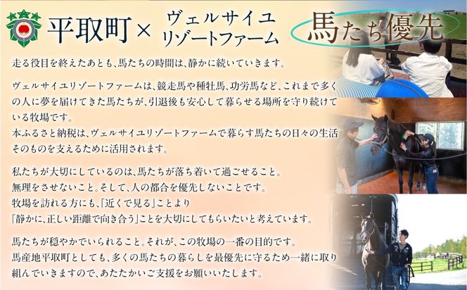 【千円コース 返礼品無し】より多くの引退馬の幸せな余生を願う　Yogiboヴェルサイユリゾートファーム BRTV024-01